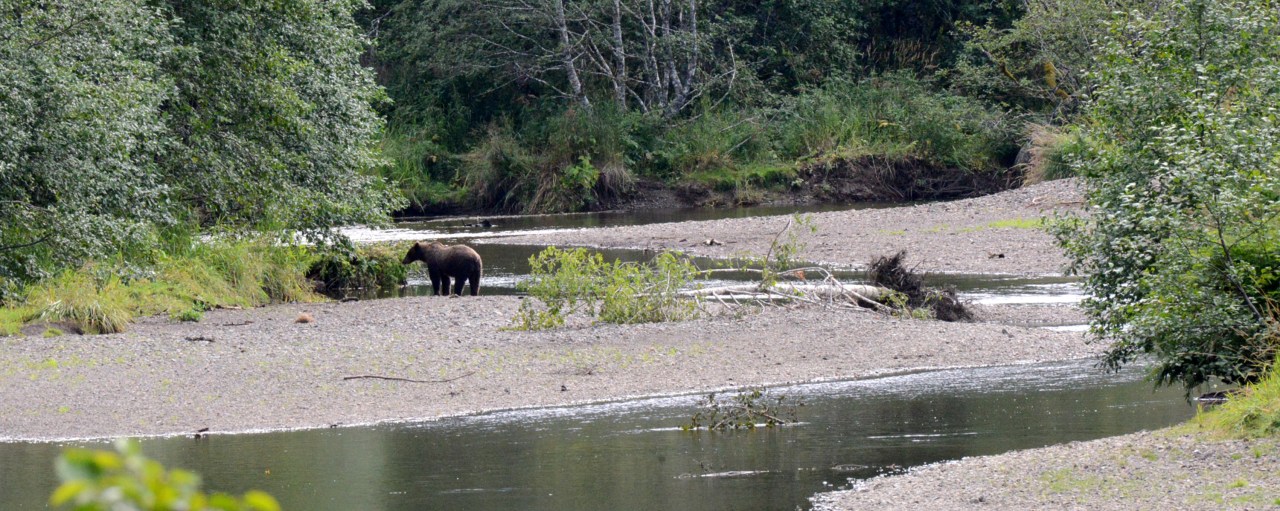 Icy Strait – Hoonah – 1st Stop on our Alaska&nbsp;Cruise