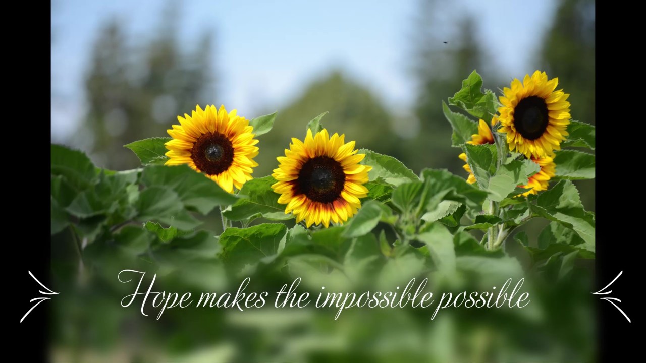 How my World has&nbsp;changed