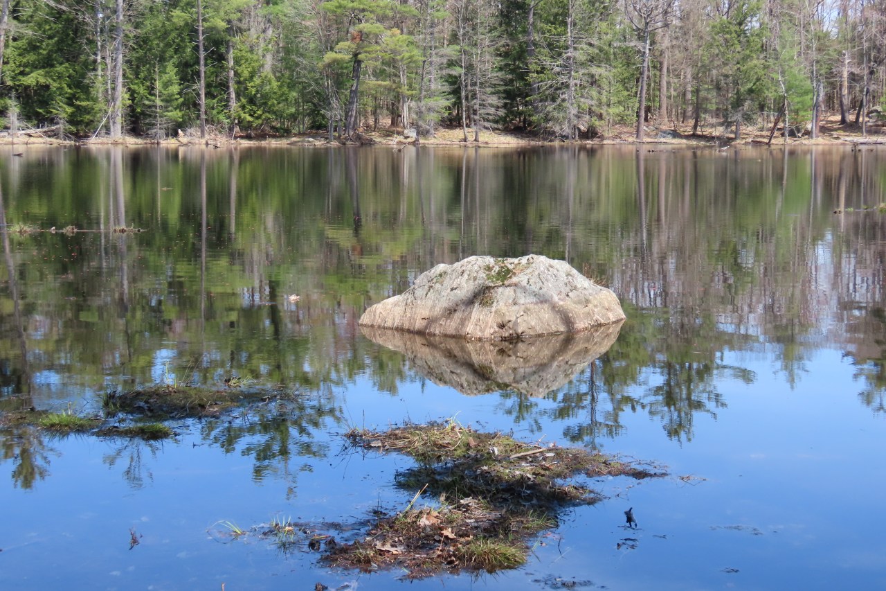 Hardy Lake Muskoka&nbsp;Hike